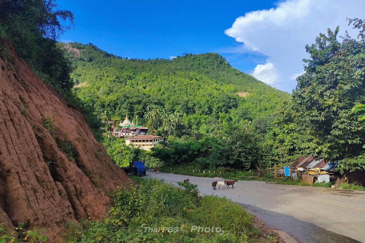 ทำไม ? แม่น้ำสาละวิน พบสารพิษในน้ำ !
จากผลตรวจพบโดย ผศ.ดร.ว่าน วิริยา คณะวิทยาศาสตร์ ม.เชียงใหม่

#ไทยพีบีเอส ได้พยายามตรวจสอบที่มาของสารพิษ "แม่น้ำสาละวิน" มาจากไหน ?

แม่น้ำสาละวินเป็นแม่น้ำนานาชาติ ระหว่างเมียนมา-ไทย และเป็นแม่น้ำที่ไม่มีเขื่อนกั้น มีช่วงไหลผ่าน จ.แม่ฮ่องสอน