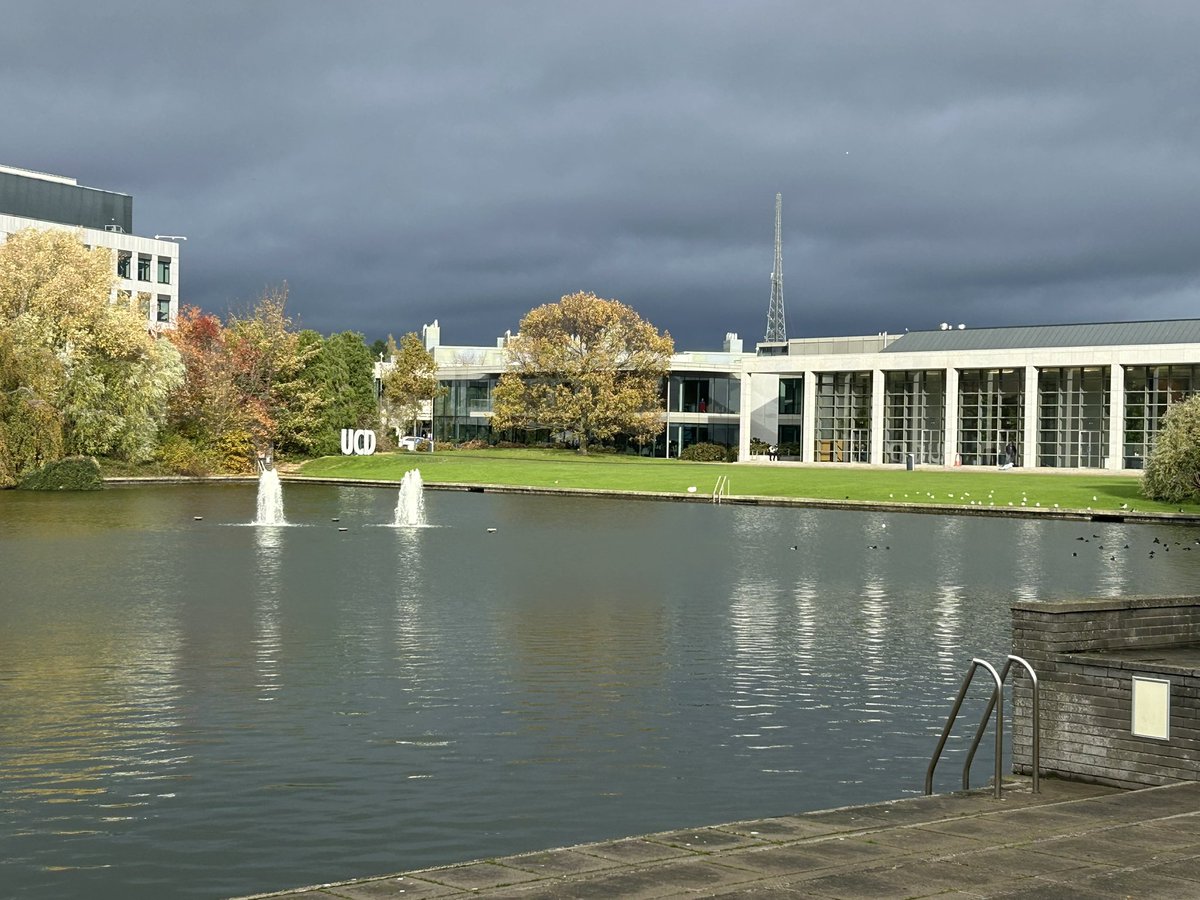 Cultura, aprendizaje, vivencias😊