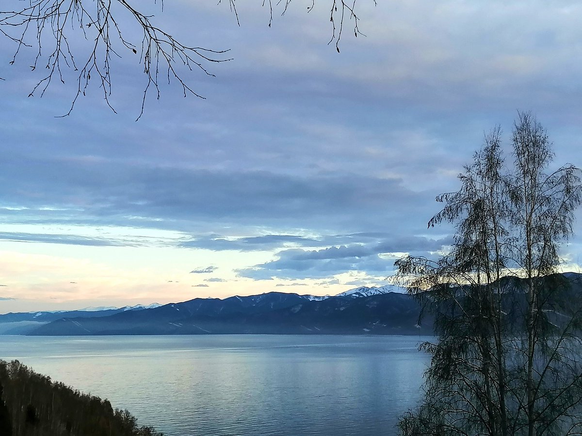 Сибири-кум (@yatsekst) on Twitter photo 