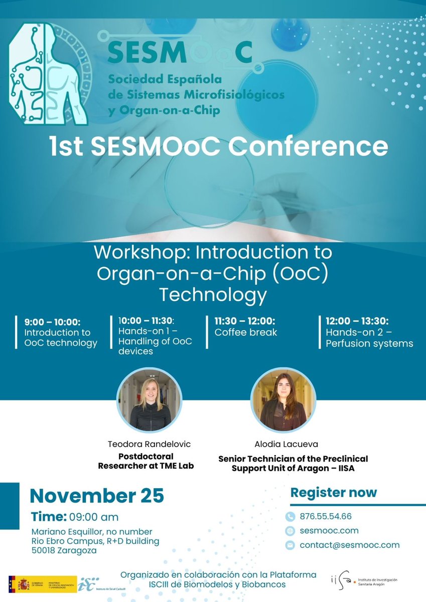 IIS Aragón tweet media