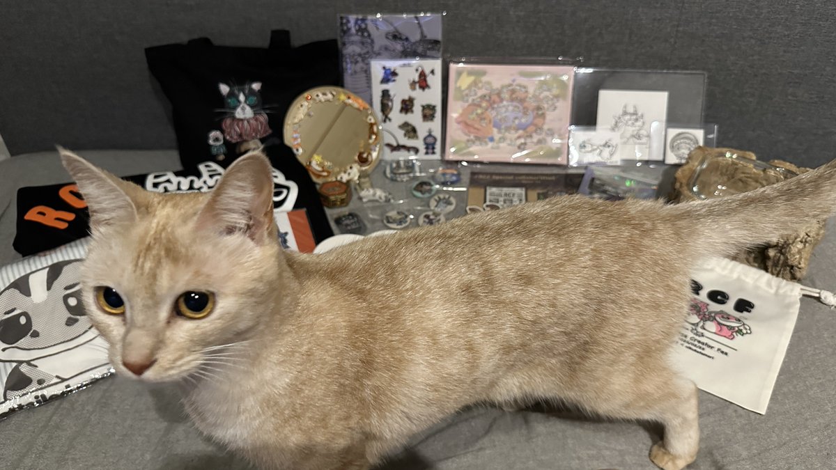 購入したものとご厚意でいただいたもの全てRCFの戦利品！！！！

隠キャの人見知りですが皆さん本当お優しくたくさんお話してくださってありがとうございました🥹🙏🏻

作品たちも本当に素晴らしいものばかりでした🫶🏻✨