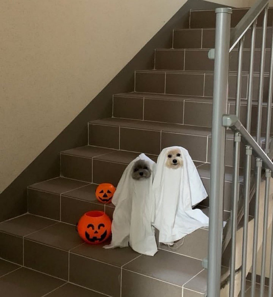 reyGszn's tweet image. Infinity Ground is entering a new chapter one where code and value finally move as one.

By weaving x402 into its Vibe Coding Infrastructure, Infinity Ground is setting the stage for a financial internet where value flows as seamlessly as ideas. This isn’t just another payment…