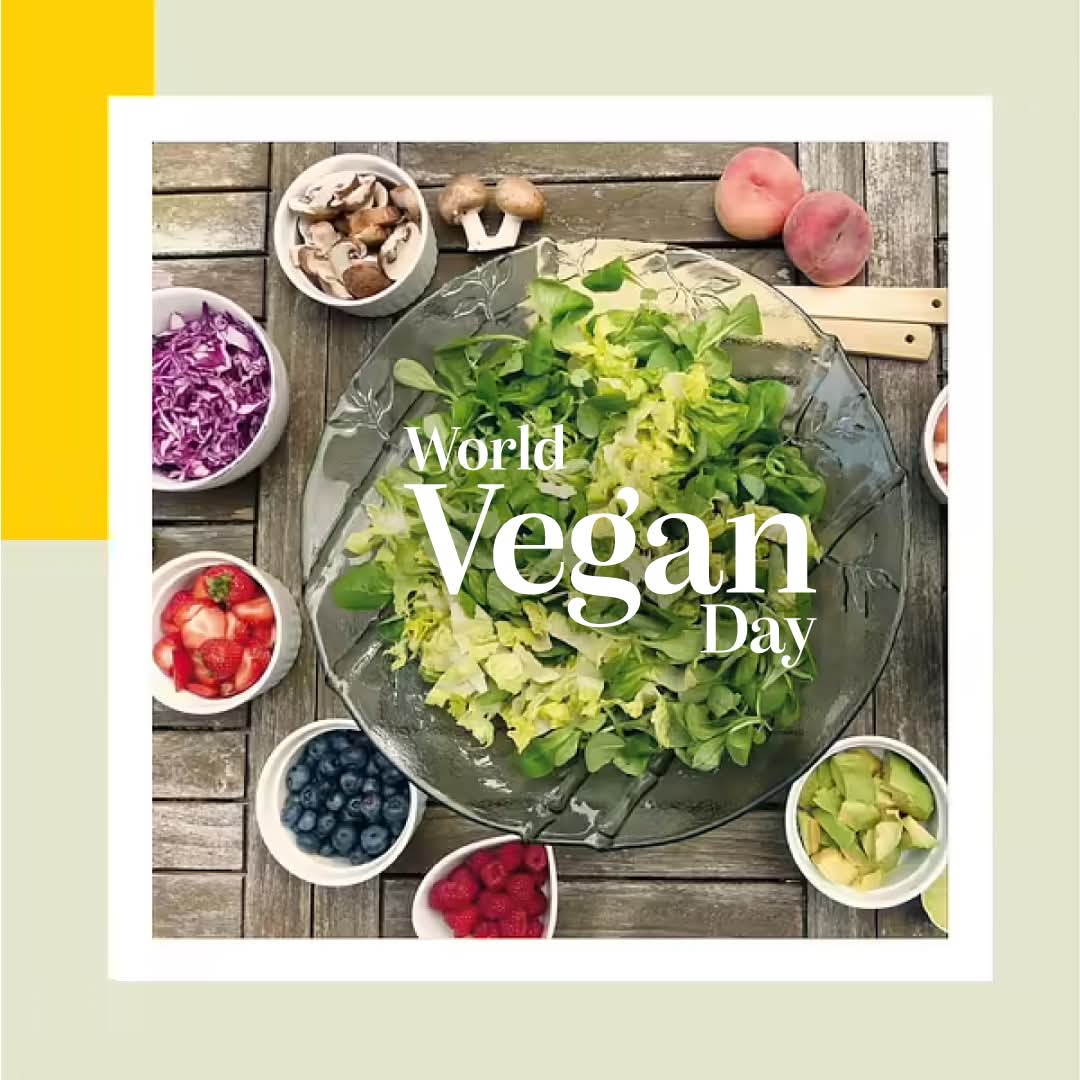 VeggieFest's tweet photo. 🌱 Nov 2nd is #WorldVeganDay! 🌎
We celebrate #compassion, conscious living, and #kindness toward all beings. A #vegan lifestyle is not just about #food--it's about #love, #sustainability, and #respect for life in every form. 💚
#VeganDay #Veganism #PlantBased #VeggieFestChicago https://t.co/vMAGHGuuT8