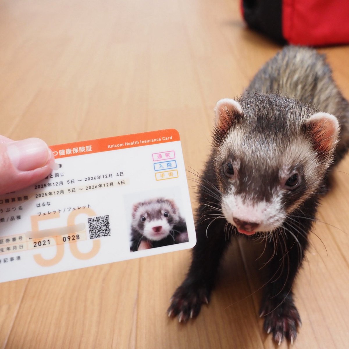 あっきー様ʢ☘︎-·̮•̯ʡʢ•̯·̫-☀︎ʡ (@ackey_73) / Posts / X