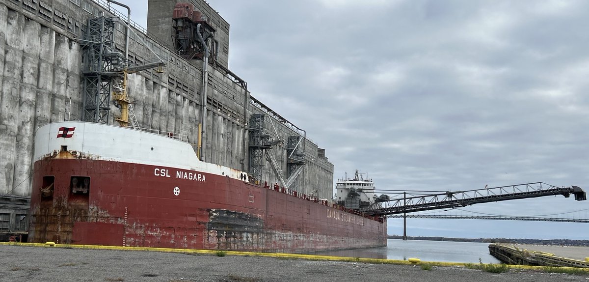 The CSL Niagara arrived on Saturday to unload salt, after completion and clean out moved over to the loading berth to load soybeans, we will finish up loading today.