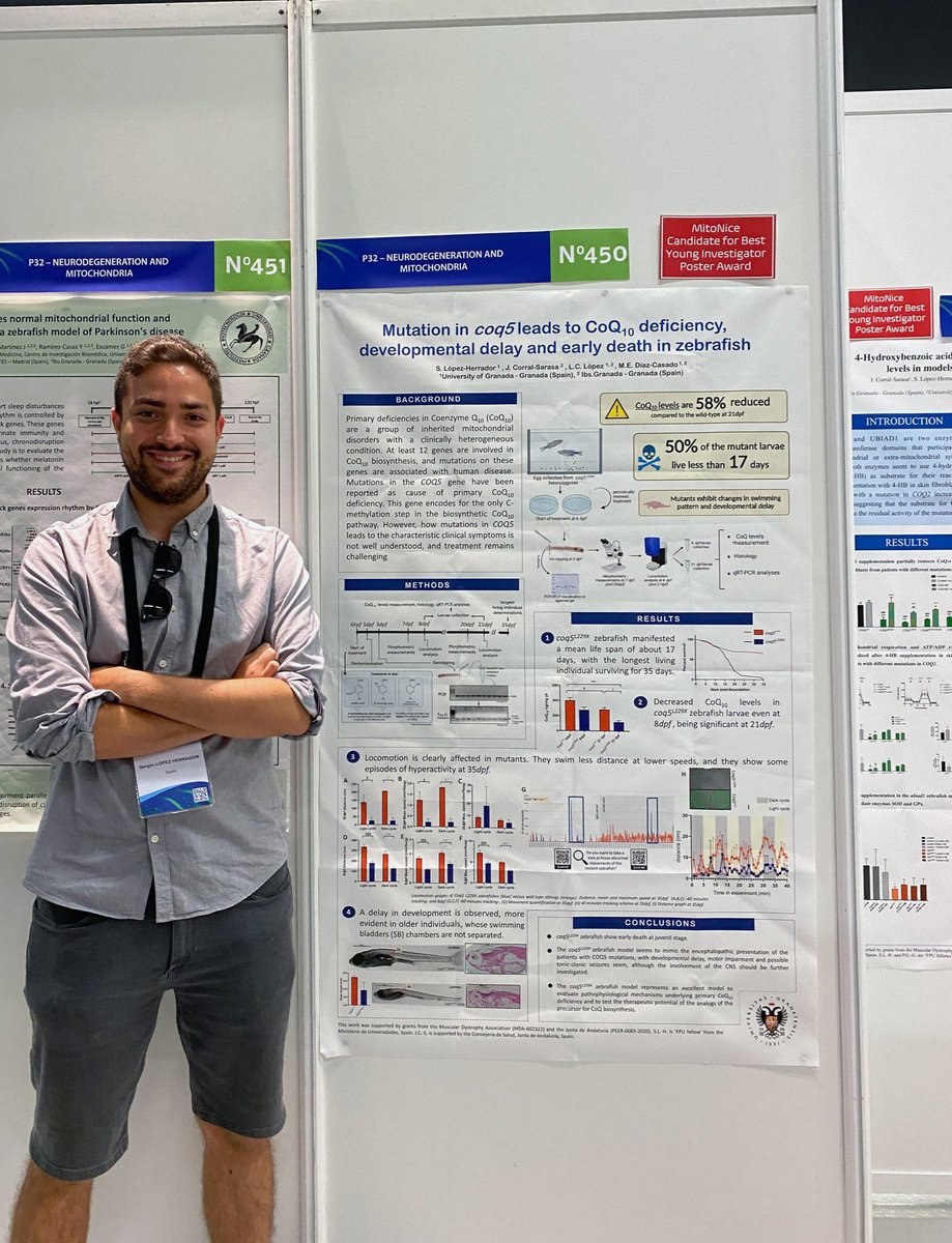 Universidad Granada tweet media