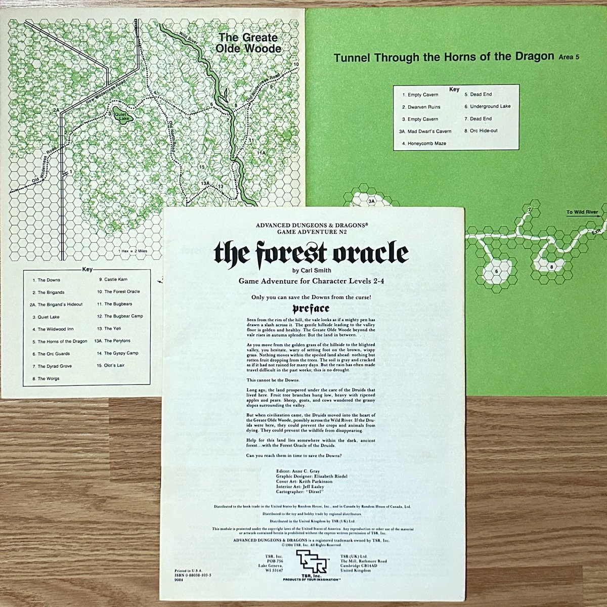 N2 The Forest Oracle (1984) #DnD #TTRPG