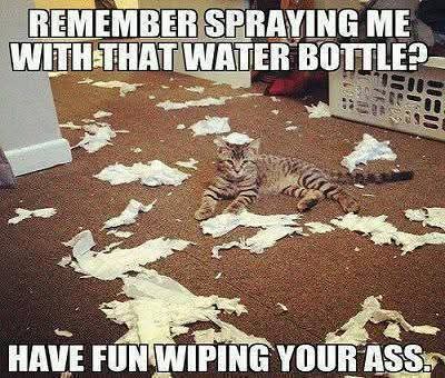 Good morning folks 👊