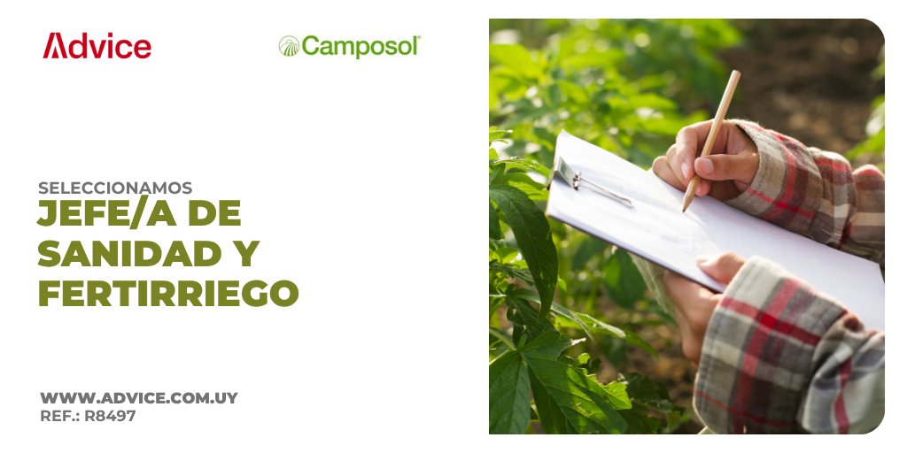 Seleccionamos para CAMPOSOL profesionales egresados o titulados de Ingeniería Agrónoma, Industrial, Química o en Alimentos.

Se valorará contar con una especialización en Sanidad Vegetal o Agronomía, así como experiencia en el manejo de cultivos cítricos.

Entérate más en