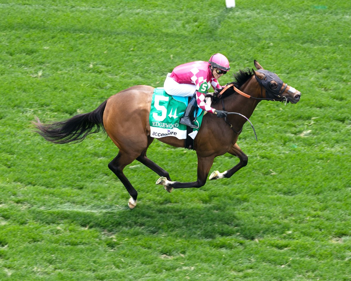 Thoroughbred Racing Initiative tweet media