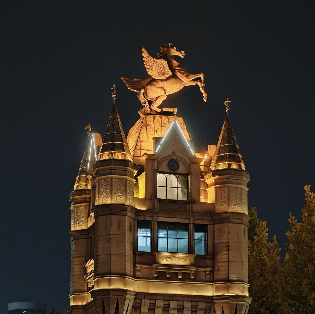 malongan's tweet photo. 记录明天 https://t.co/mzJt9IDLoW
