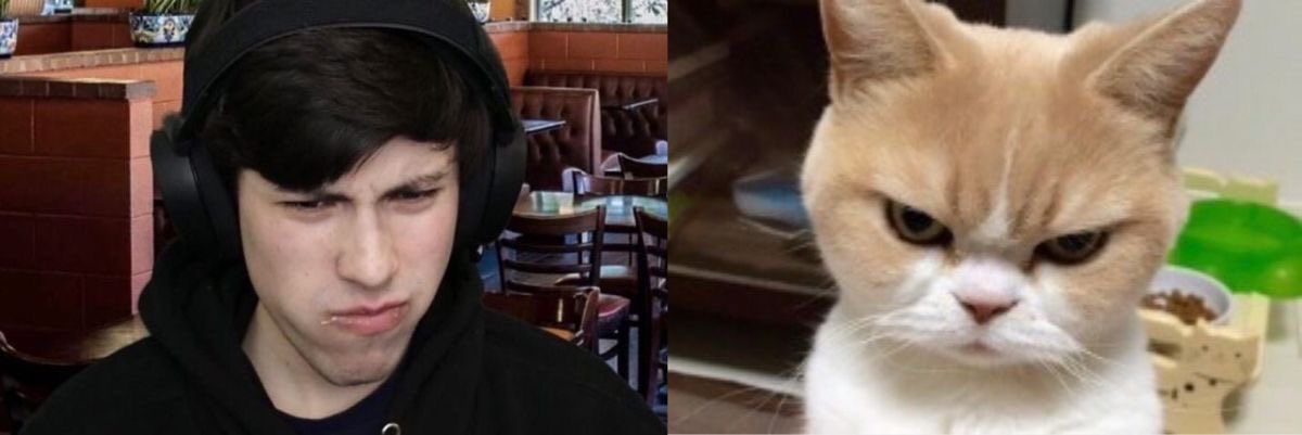 whoever makes these ily