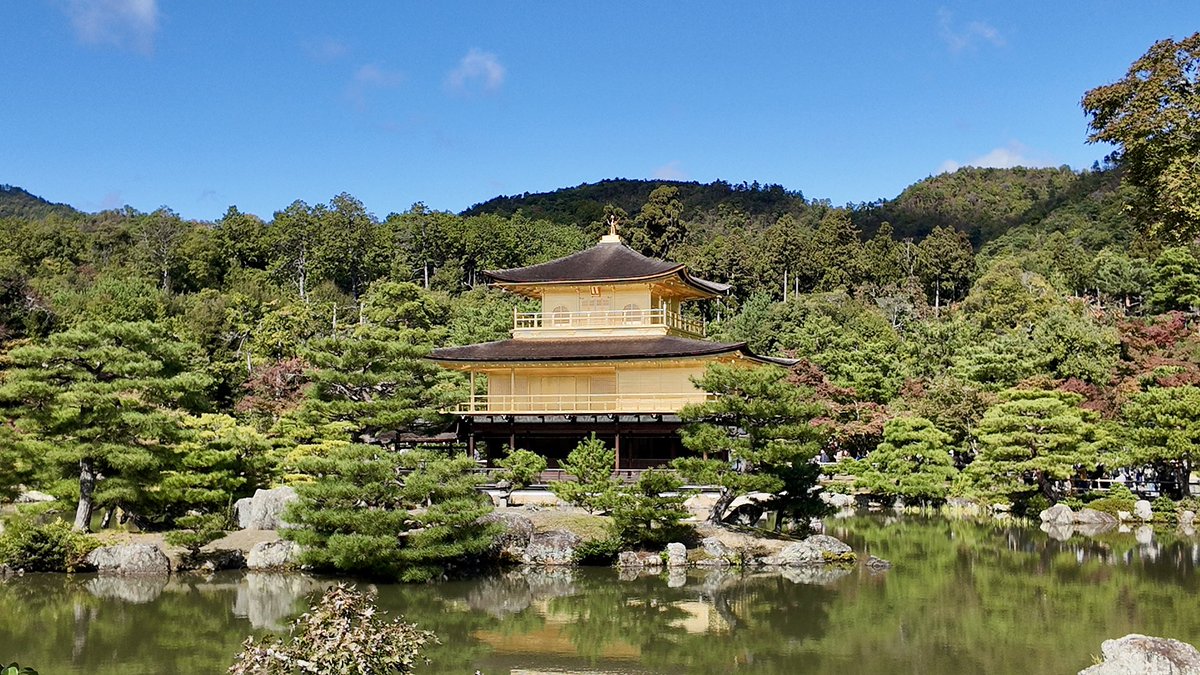 老谭没有酸菜面 tweet media