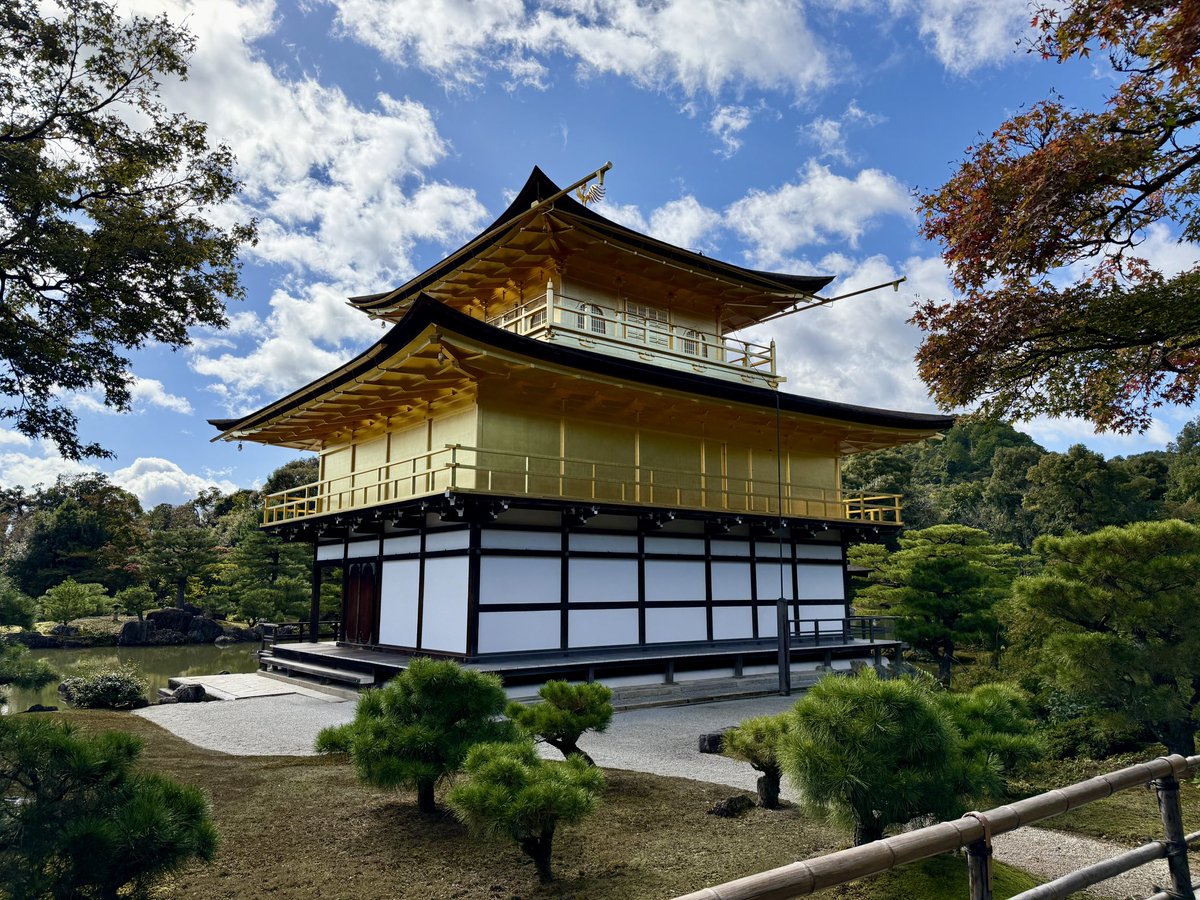 老谭没有酸菜面 tweet media