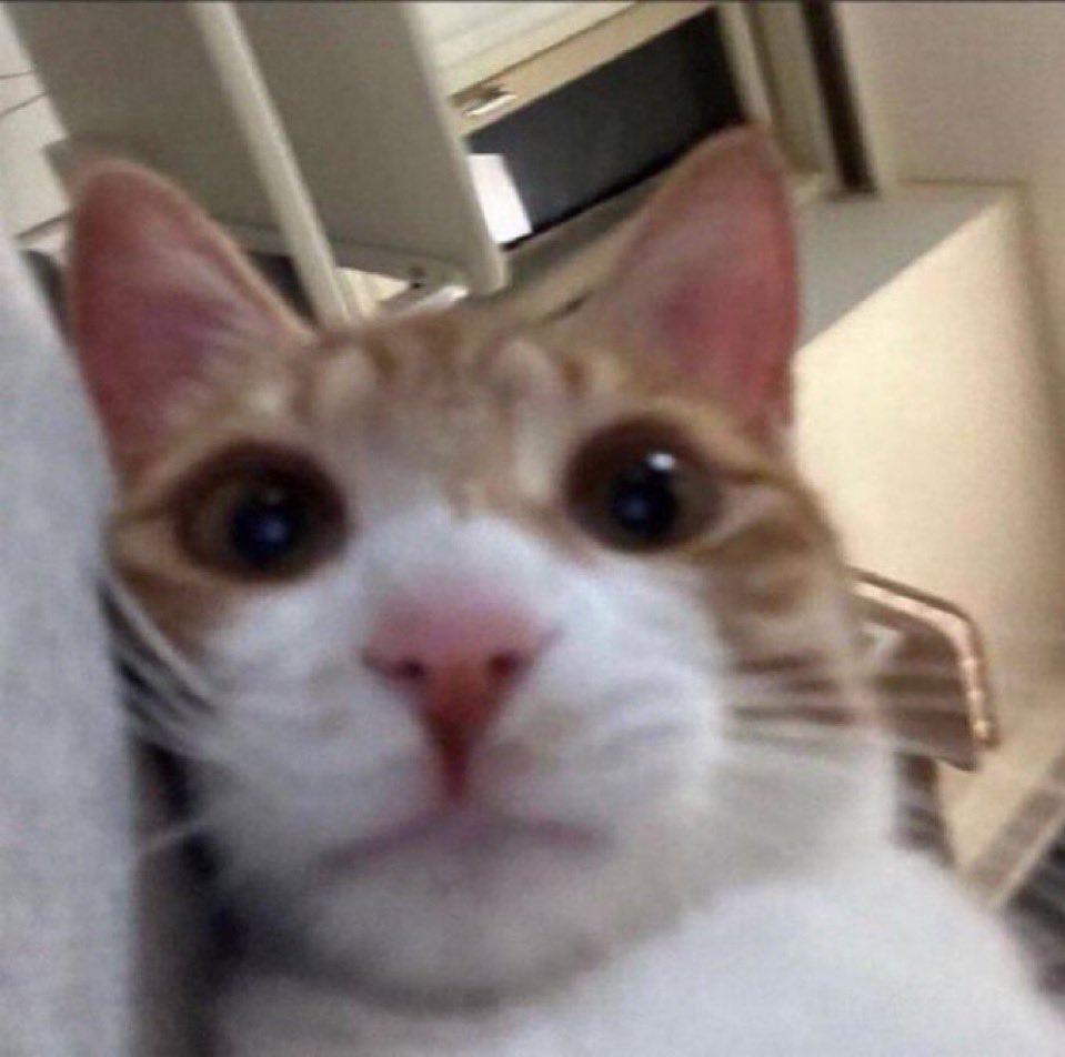 acabei de pedir demissão e ainda bem q estou no remoto  me sinto muito awkward em despedidas