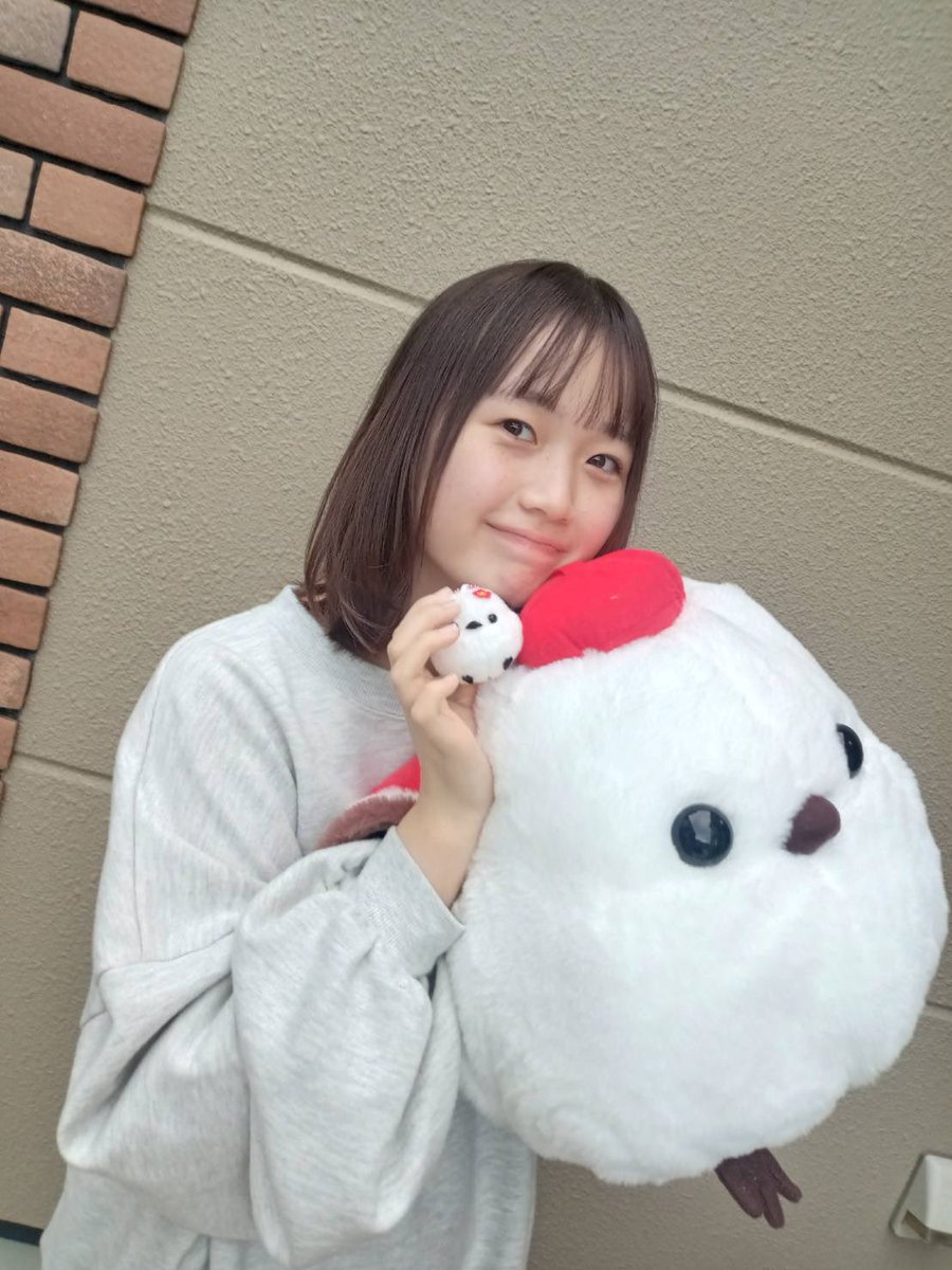 こんばんはです！
さきぽん、今日はゲーセンでシマエナガとりました！ちっちゃいのと大きいの！😆
ぬいぐるみはやっぱりテンション上がります！
どちらもお母さんの部屋の窓辺に並べました！
皆さんは、ゲーセンで大きな景品とったことありますか？

#さきのこんばんは