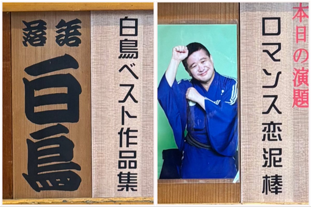 ギボウシ　　きくりんさん‼️ 路地裏のギボウシ on X