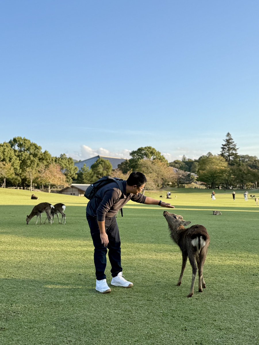 老谭没有酸菜面 tweet media