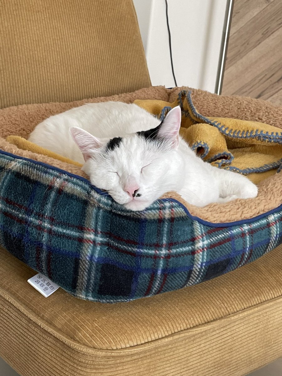 寝ると地蔵顔になるのかわいい