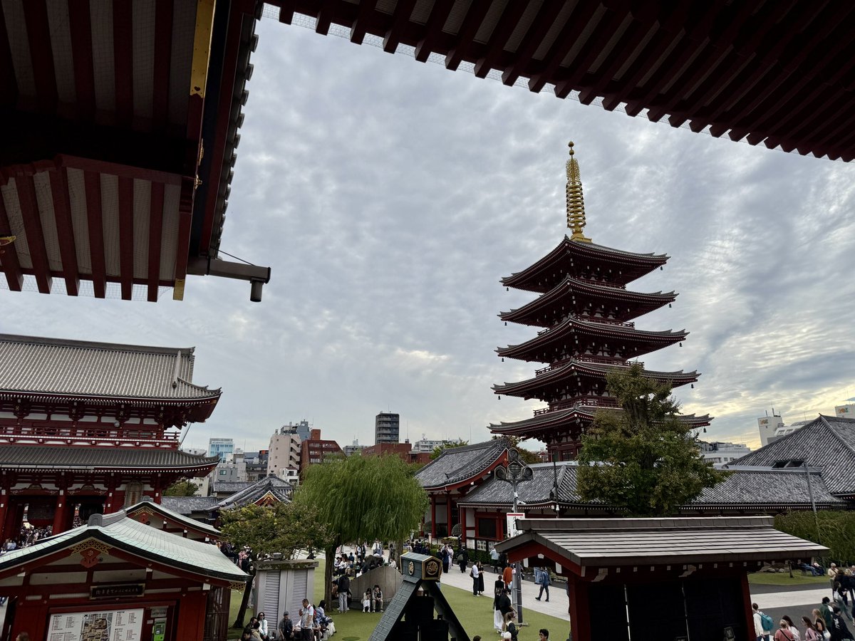 老谭没有酸菜面 tweet media