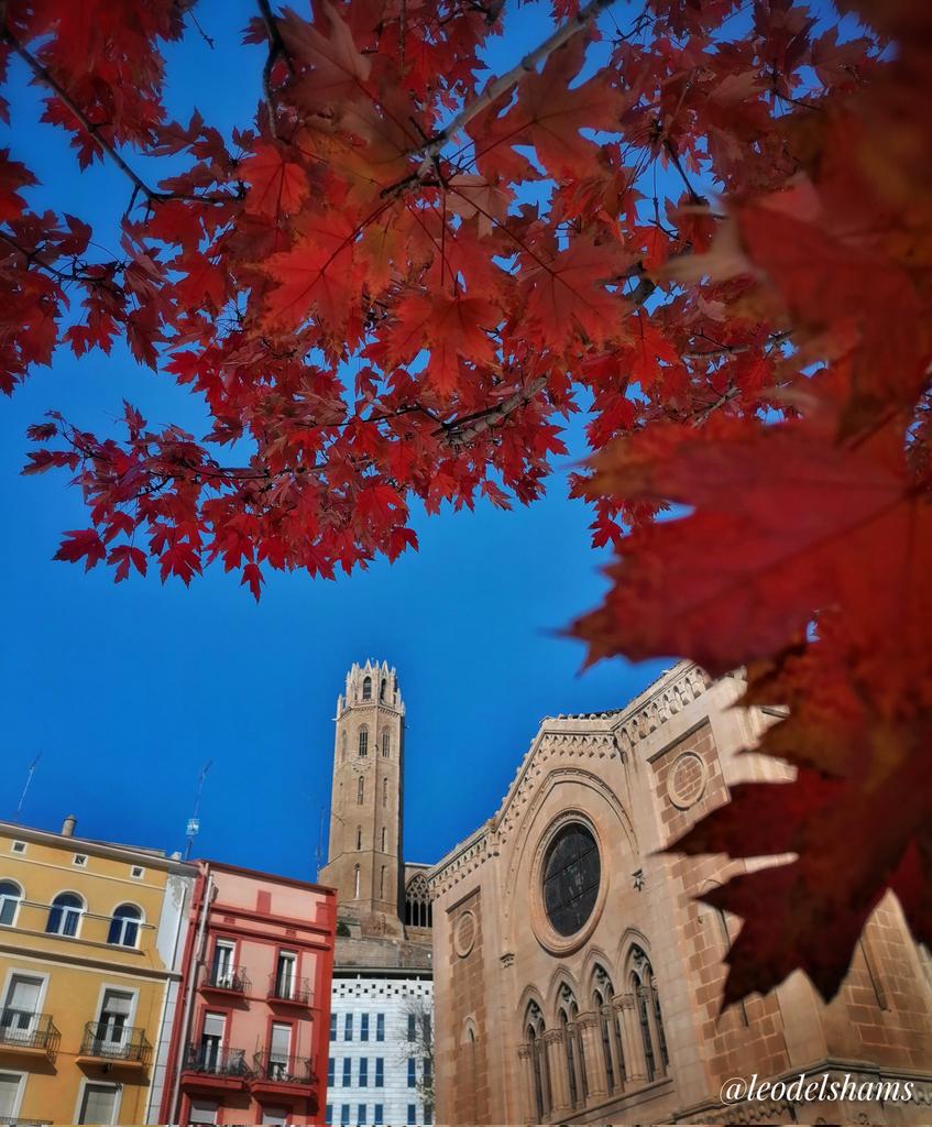 ldelshams's tweet photo. #Lleida. La Seu Vella, l'Església de Sant Joan i els colors de la tardor. #seuvellalleida. #SeuVella. #esglesiadesantjoan. #testimolleida. #comparteixLleida. #lleidatestimo. #paerialleida. #turismedelleida. #arquitectura. #architecture. #total_lleida.  #imatgesde_lleida. #art. https://t.co/z6H7unh1bK