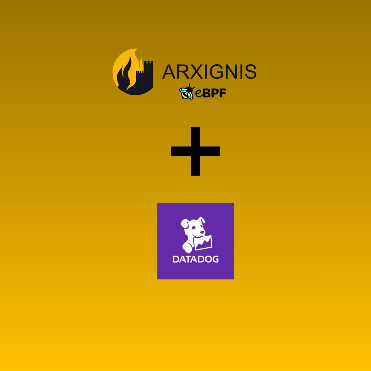 David Papp tweet media