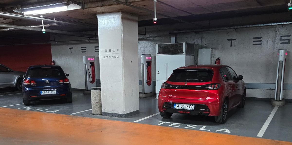 Звезделин Иванов tweet media