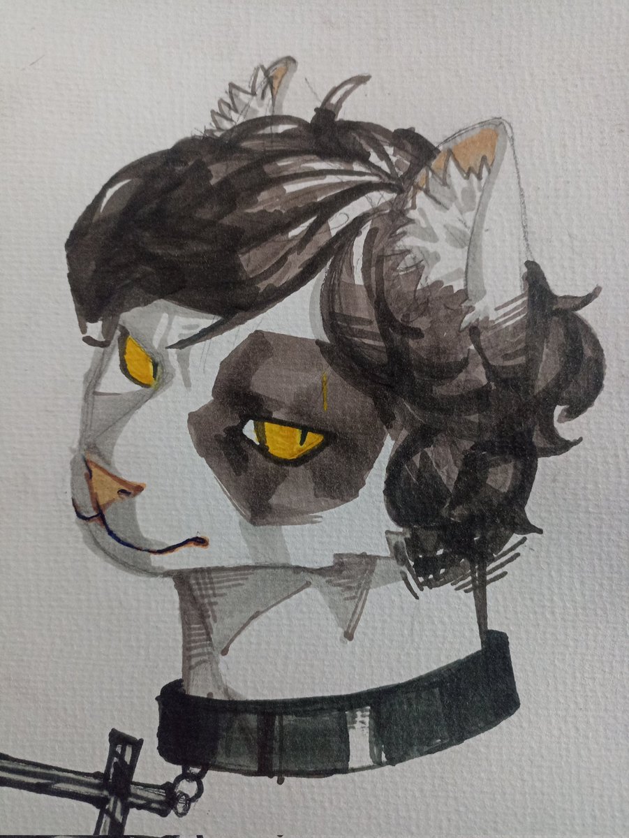 TheRedCockroach's tweet image. Sketch