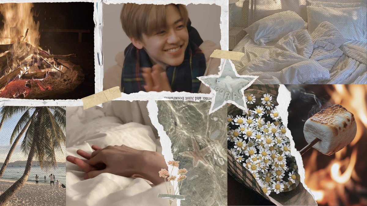 xin / tfc tweet media