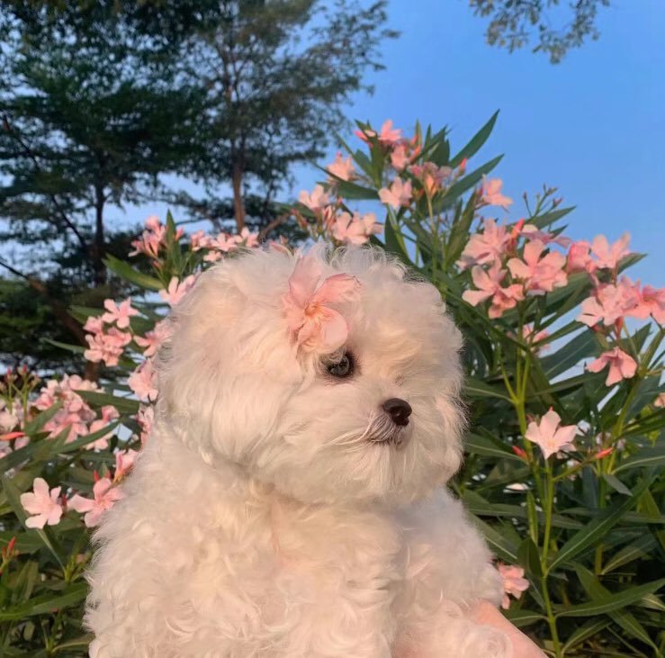 heart_jpg's tweet image. 