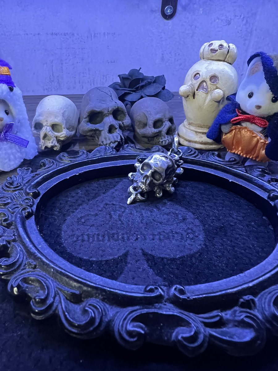 うつせみ標本屋 (@0111Swk) / Posts / X