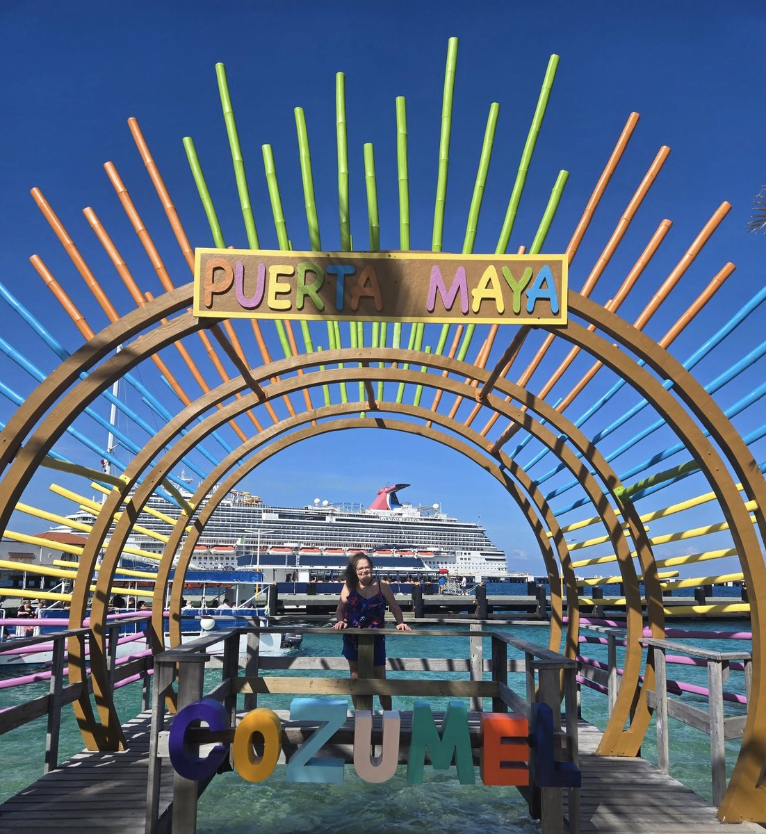 Susan Allen tweet media