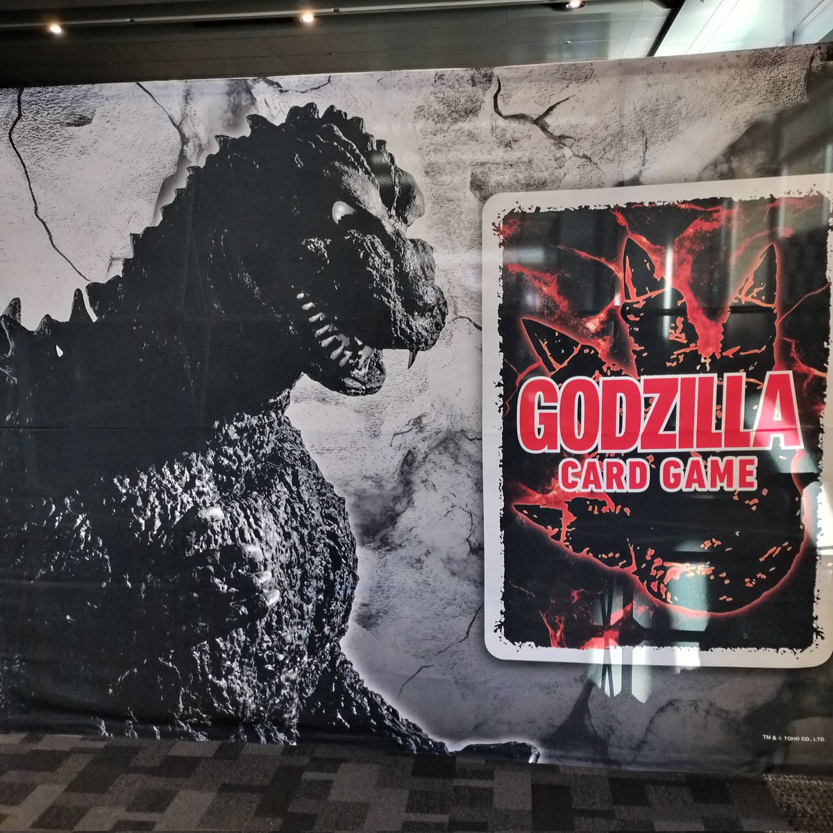 日本代表★レジェンド★11個 祥さんのASD on X