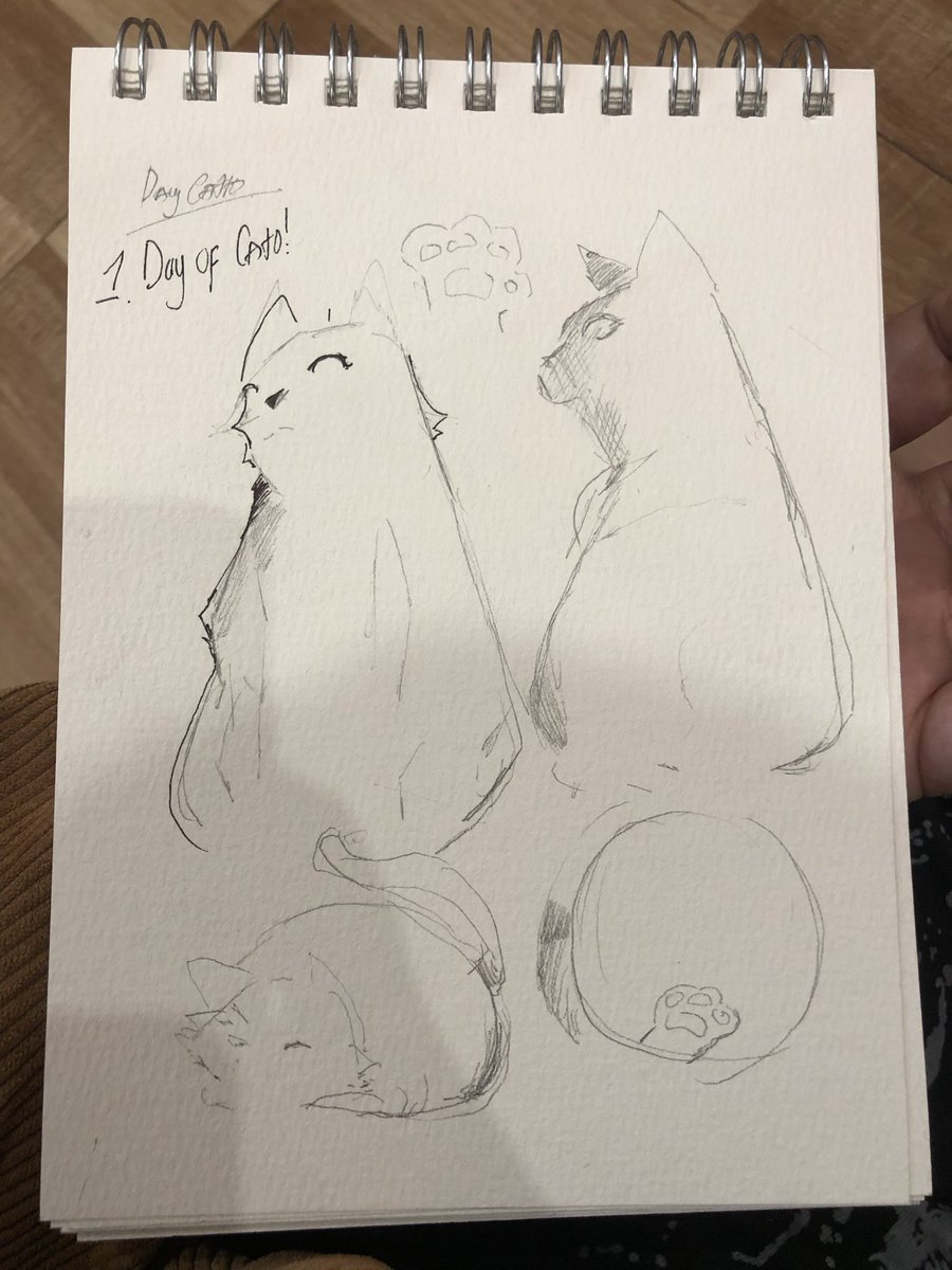 It was a fun moment in the coffee just sketching and petting catto