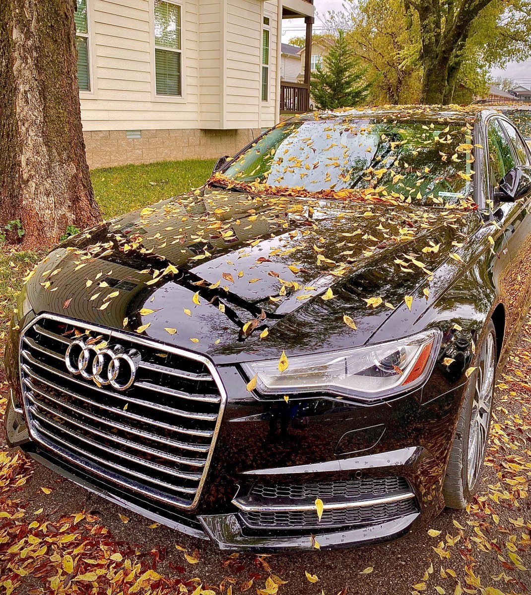 GermanAutoShop's tweet image. It's that time of year again. Schedule your fine German import for regular maintenance before hitting the road for the holidays. Call now: 334-749-1588 or visit Performance-Services.net.