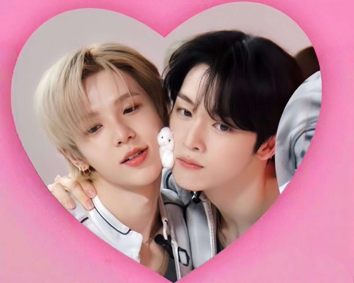 이사 tweet media