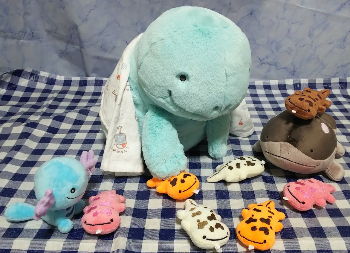 ぬおたろう
『オオサンショウウオのカプセルトイだぬ✨

ちっちゃくて かわいいぬ～🎵』