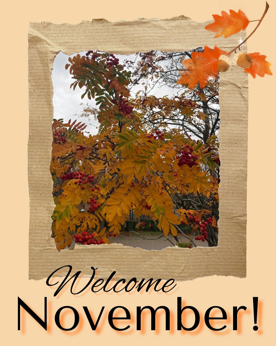 KMS Professionals tweet media