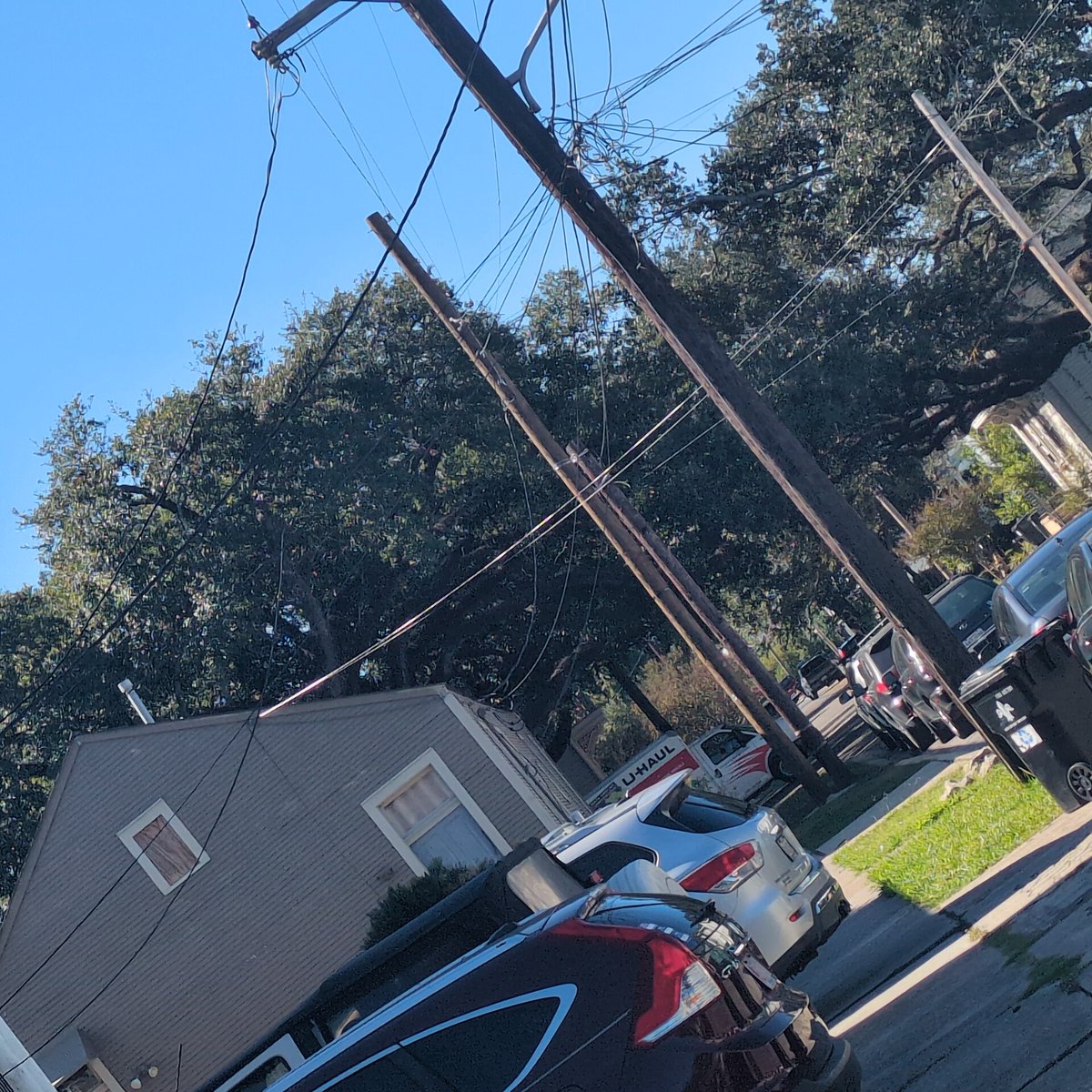One of the wildest California/Louisiana crossovers is the existence of Quercus genus trees as a part of the landscape. These little scrub oaks, under slightly different circumstances, could look like this.
