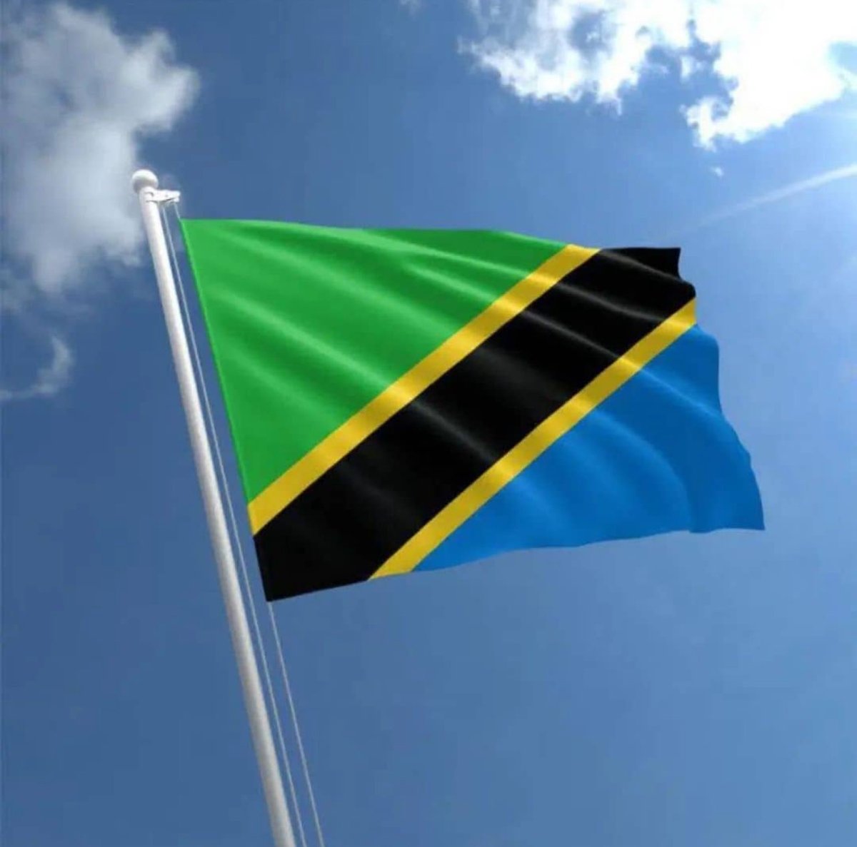 Some of us will mourn what others pretend they never saw 💔 
A moment of silence to all lives lost. Hugs to all Tanzanians. This is ours. The people we lost, are OURS.
