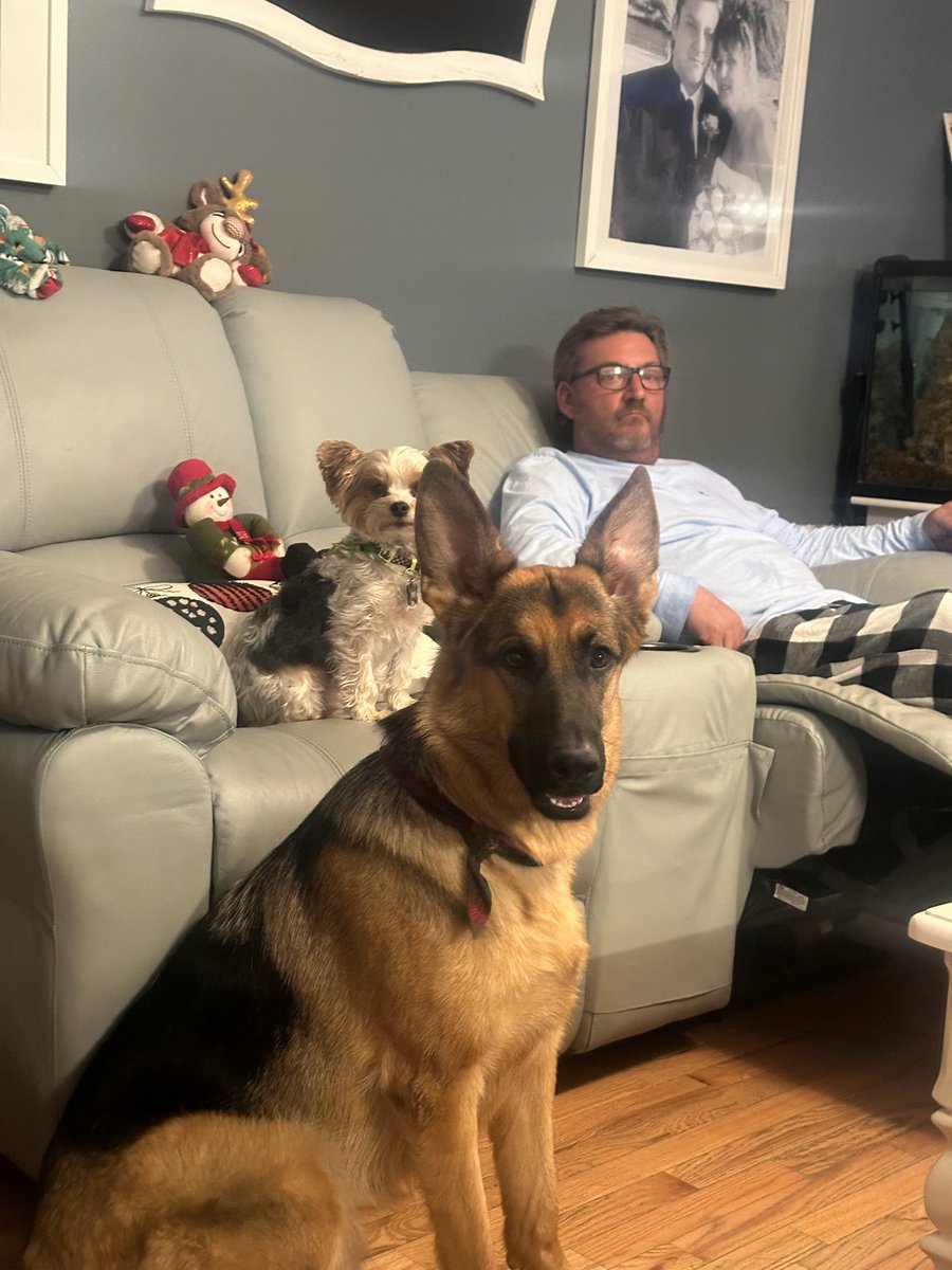 ForyRad's tweet image. 