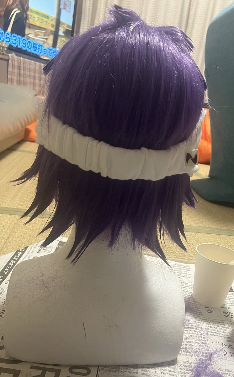 ﾄﾘﾂｶくんのウィッグできたぁ！！！
街コスで出すので今週中に練習する💪💪