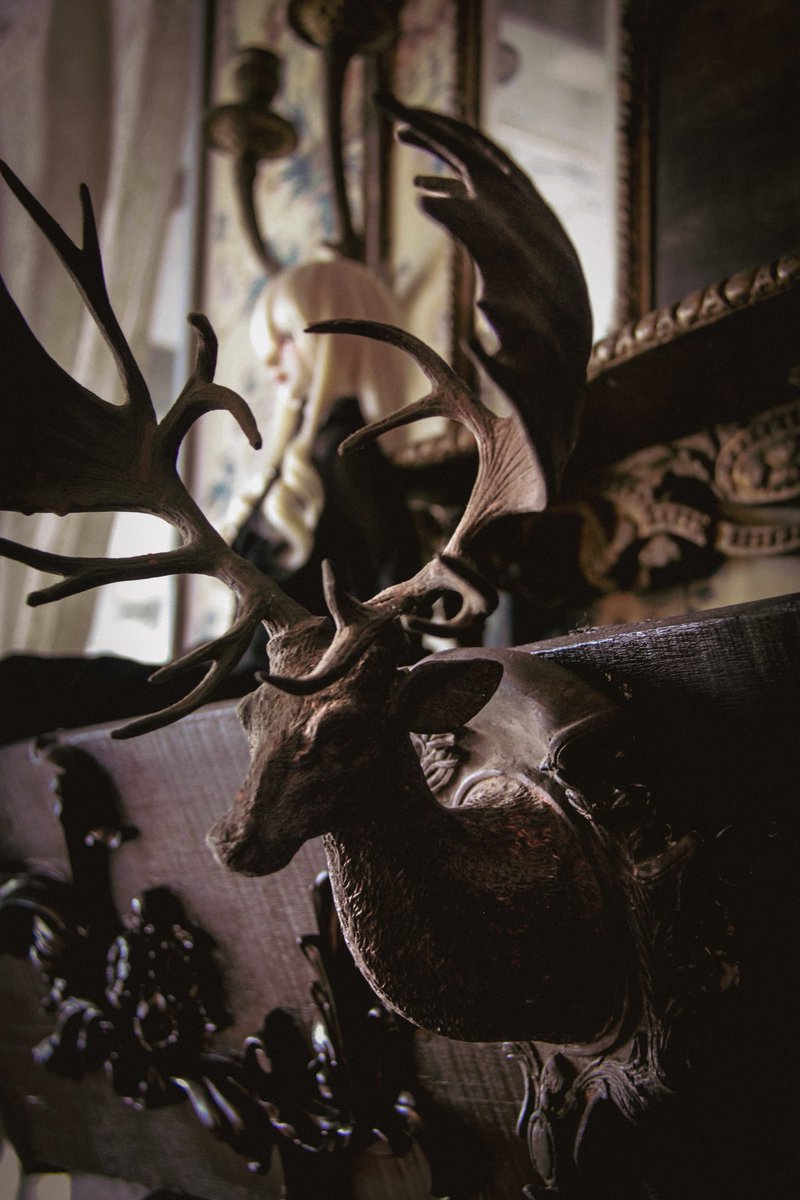 𝗧𝗼𝗻𝗼ꪔ̤̮ (@hctono22) on Twitter photo 