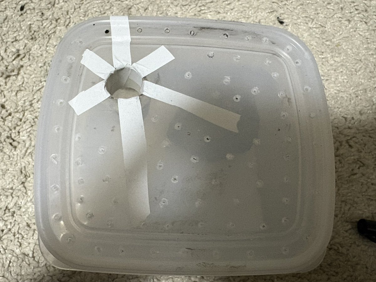 かなり簡易的だが…

左上は餌あげる穴
普段は塞いでおく