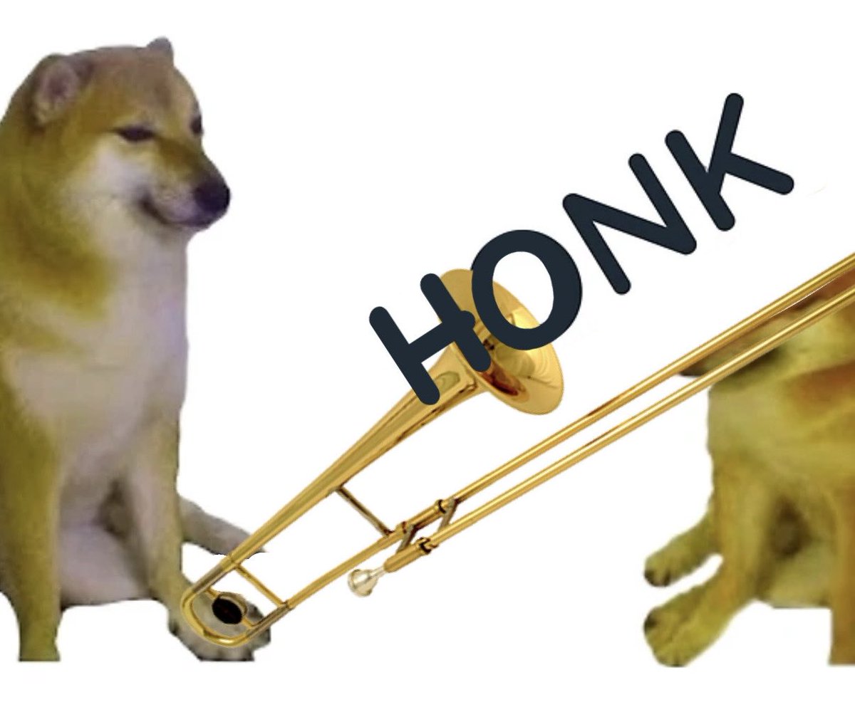 Nate (@tallsdurf) on Twitter photo 