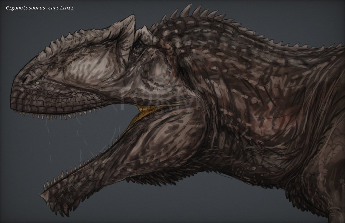 Reimu Yangchuanosaurus (@Endorgak) / Posts / X, image size:1199x776