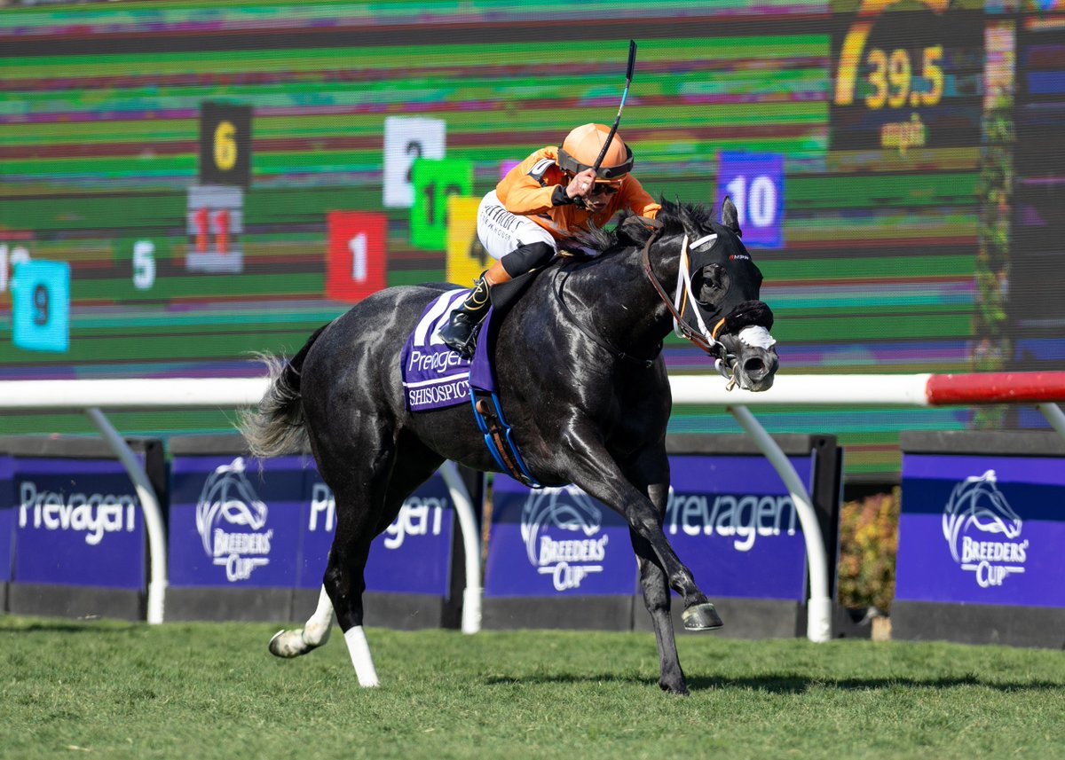 Thoroughbred Racing Initiative tweet media