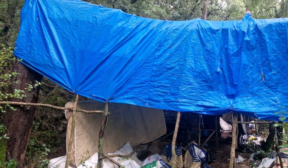 narcodiario's tweet photo. Los @mossos desmantelan un campamento #narco en #pontils #Tarragona.  Los 'jardineros' escapan a tiempo. La info, en
https://t.co/xe8gsgpqCR https://t.co/11NLjDjfb7