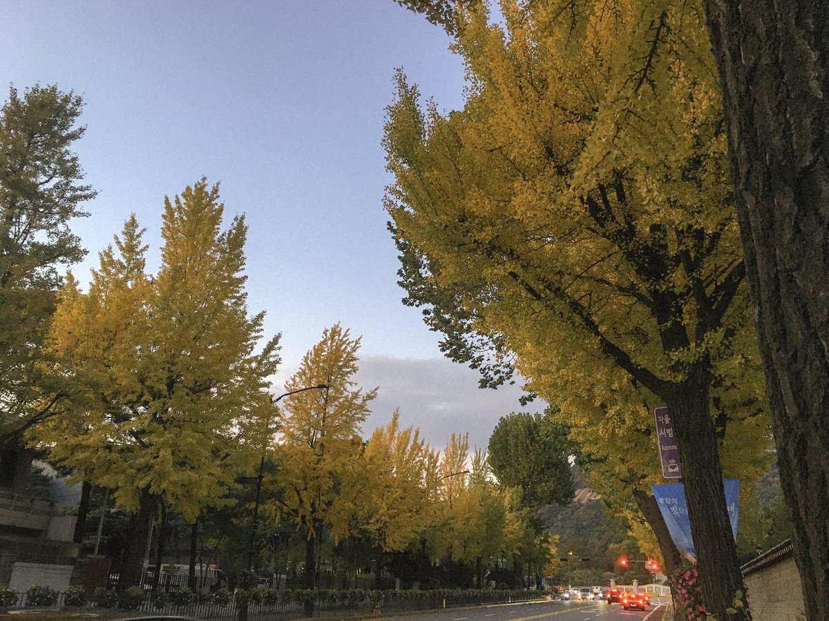 eiocc00's tweet image. 날 좋을 때 가지 못한 아쉬움이 남네요。。。 #서촌