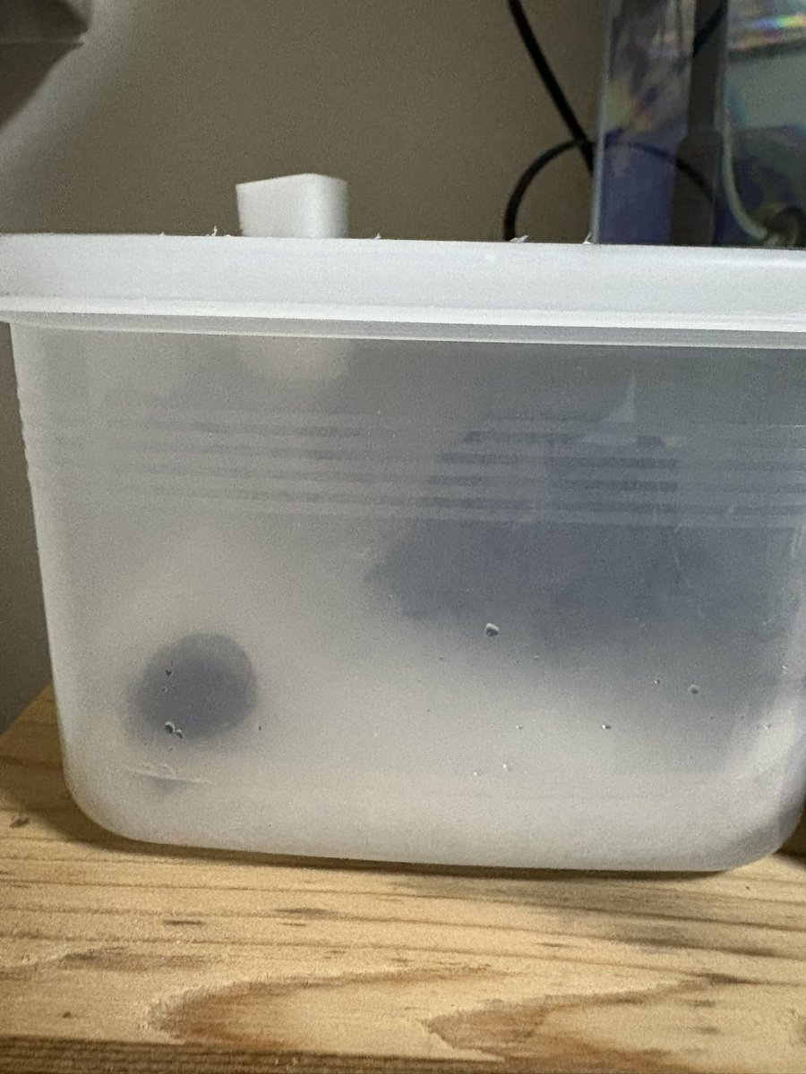 当然ながらなんも見えん

15 キューブか何かで、蓋を作るか…